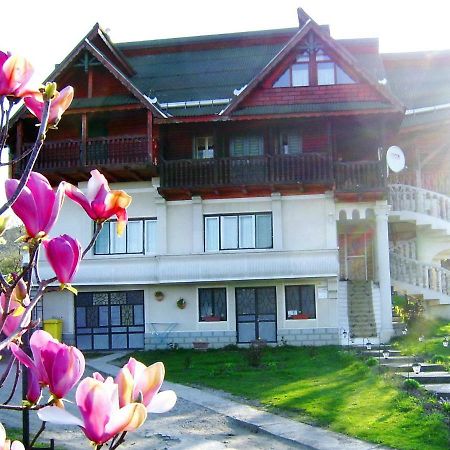 Pensiunea Amethyst Surdesti  Εξωτερικό φωτογραφία