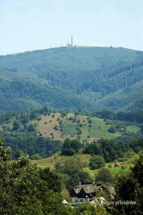Pensiunea Amethyst Surdesti  Εξωτερικό φωτογραφία
